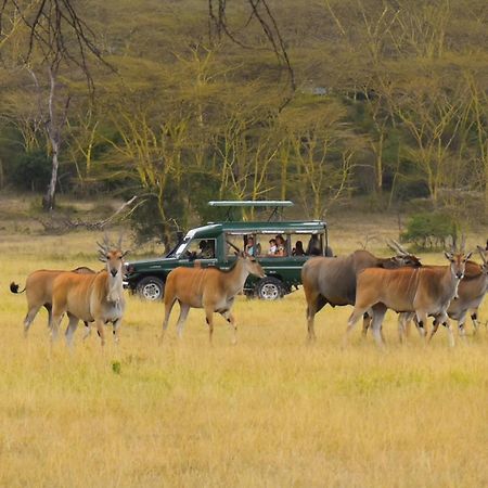 Lake Elmenteita Serena Camp Ngoại thất bức ảnh