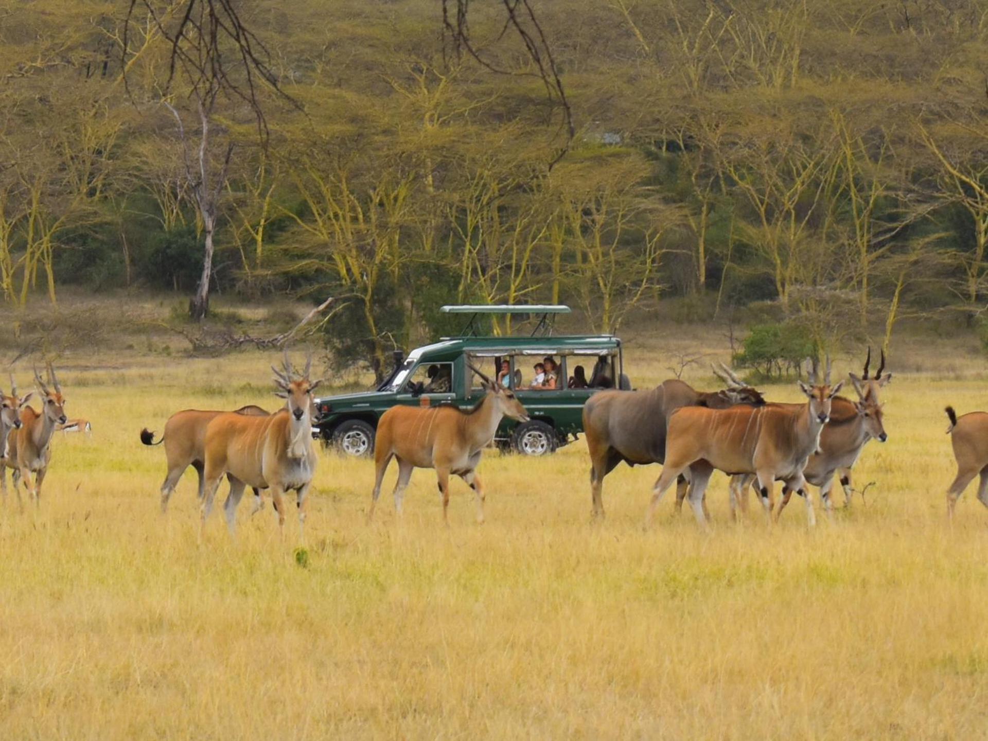 Lake Elmenteita Serena Camp Ngoại thất bức ảnh