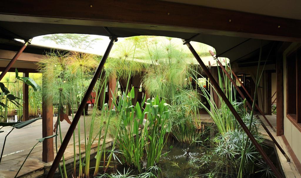 Lake Elmenteita Serena Camp Ngoại thất bức ảnh